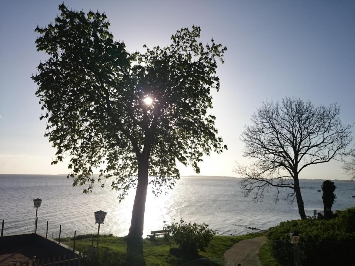 Strandappartement Steinberghaff "Farborg" Mit Meerblick Steinberg  ภายนอก รูปภาพ